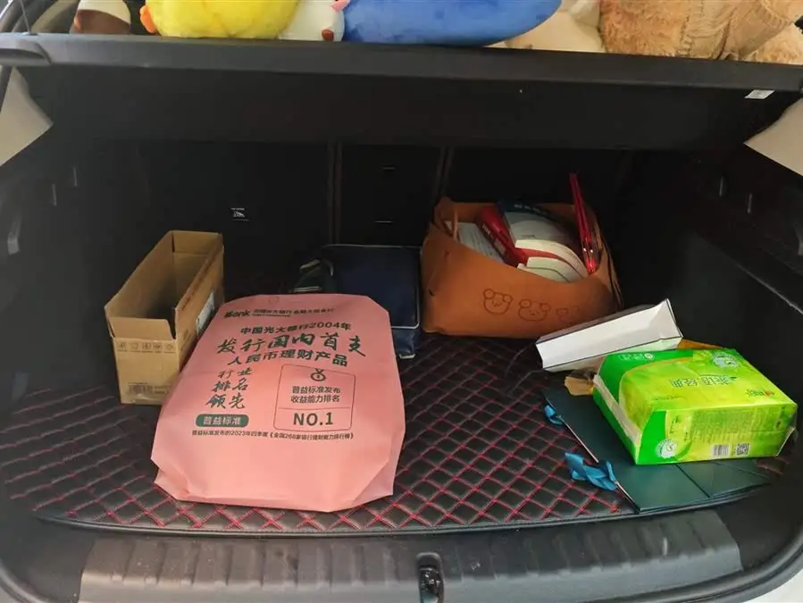 BMW X1 2023 sDrive20Li X Design Package