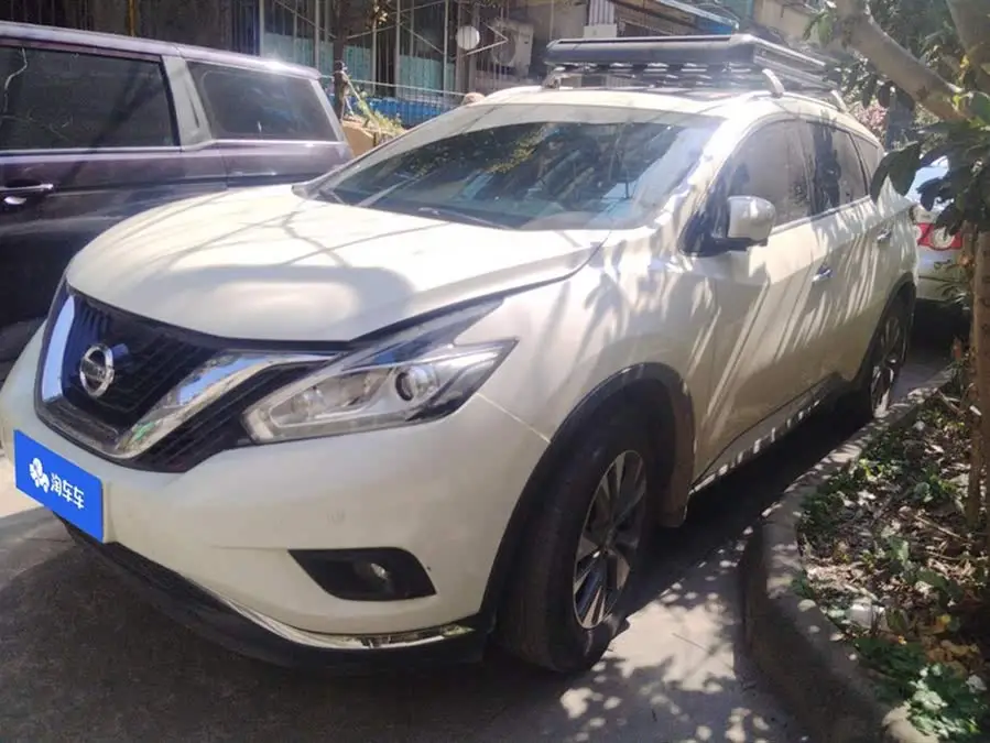 LuoLan 2021 Model 2.5L XL Two-Wheel Drive Intelligent Luxury Version