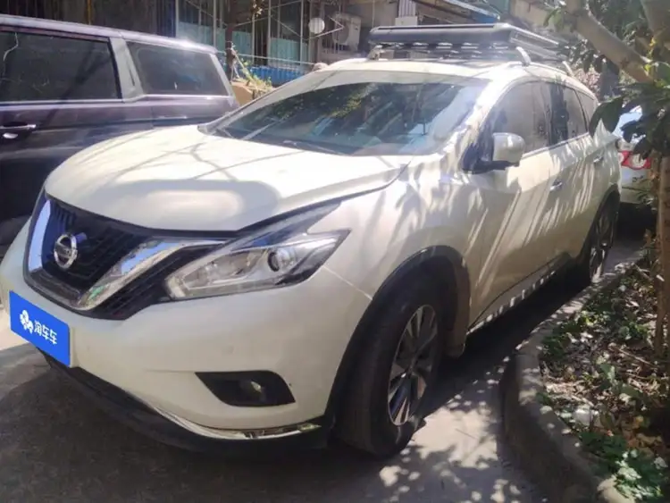 LuoLan 2021 Model 2.5L XL Two-Wheel Drive Intelligent Luxury Version