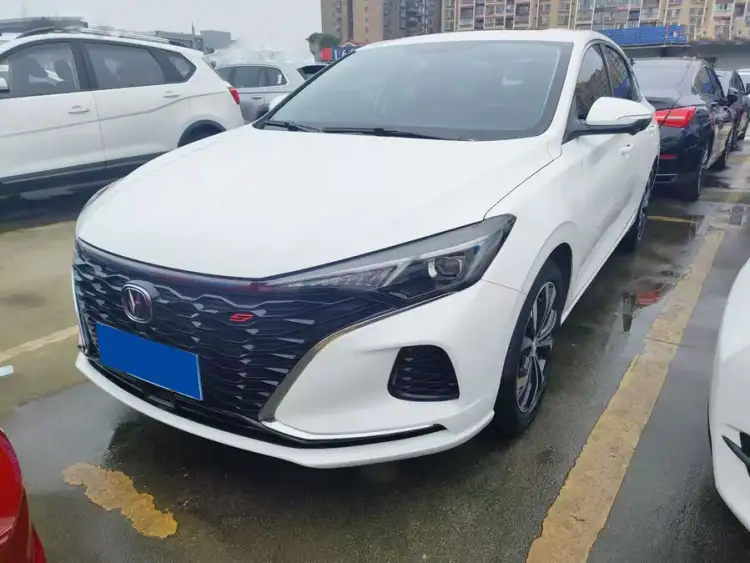 Yidong 2021 Plus Blue Whale NE 1.4T GDI DCT Premium Edition
