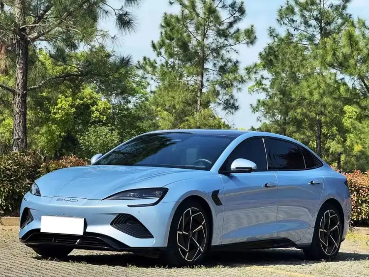 Seal 2022 Model 700km Long Range Rear-Wheel Drive Version