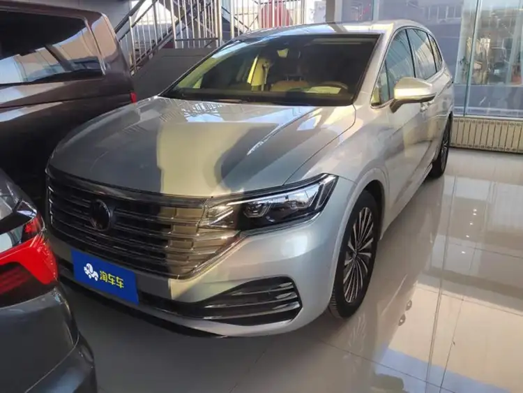 Weiran 2020 Model 380TSI Premium Edition