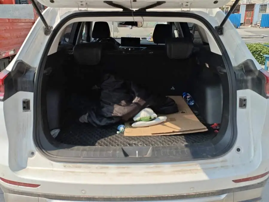 Haval H6 2023 National Trend Edition 1.5T Automatic Urban Version