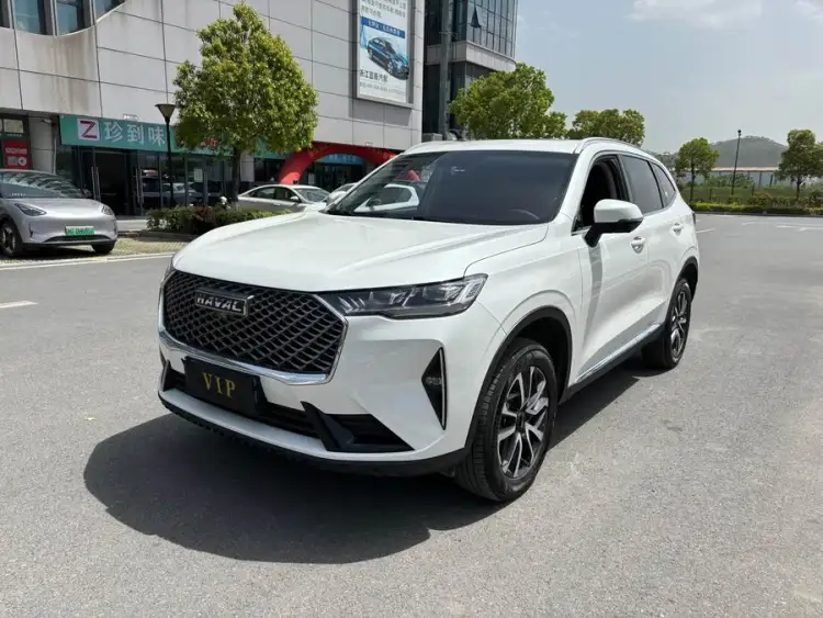 Haval H6 2022 Model Third Generation 1.5T Automatic Two-Wheel Drive Pro
