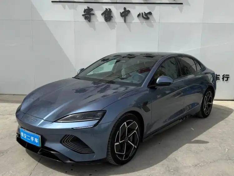 Sealion 2022 Model 650km Four-Wheel Drive Performance Version