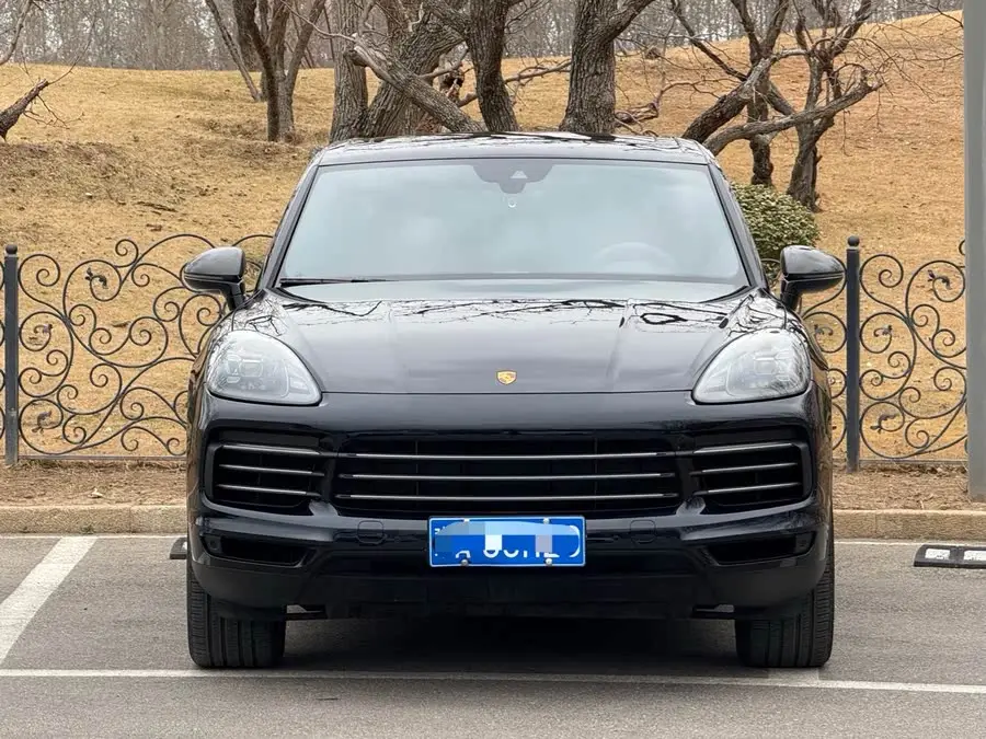 2022 Cayenne 3.0T Platinum Edition