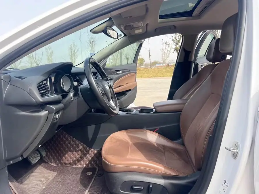 باك ريجال 2019 20T نموذج النخبة الوطنية VI