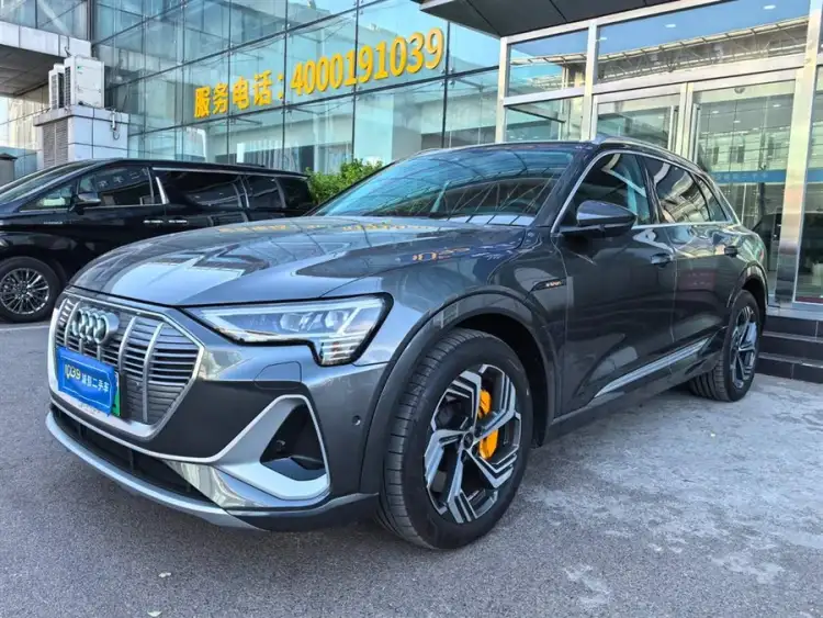 Audi e-tron 2021 50 quattro Selection