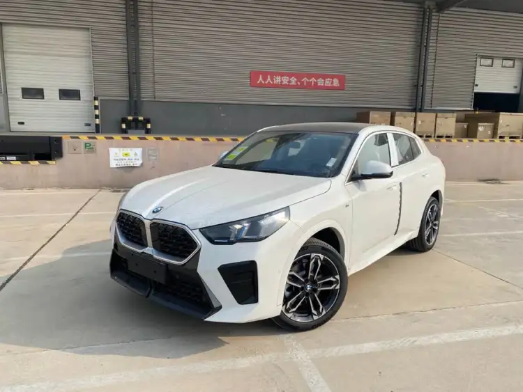 BMW X2 (Imported) 2024 Model sDrive25i M Sport Package