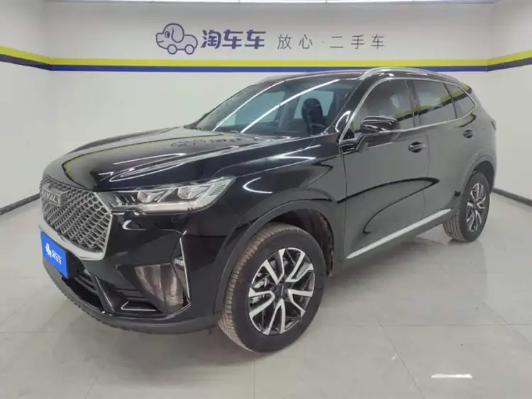 Haval H6 2021 Model Third Generation 1.5T Automatic Two-Wheel Drive Pro