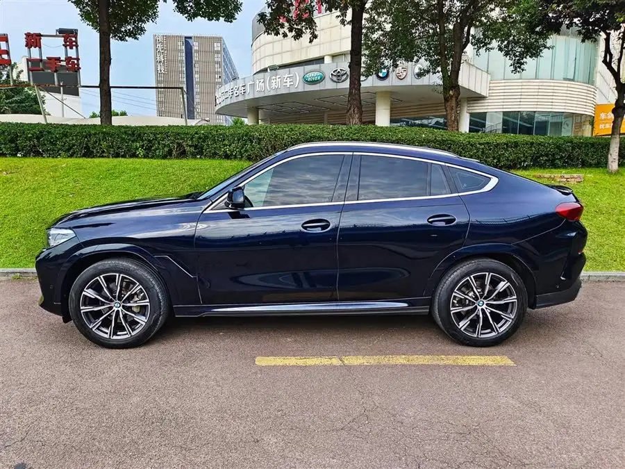 BMW X6 2021 xDrive30i M Sport Package