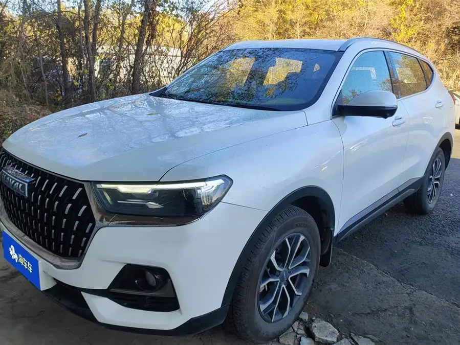 هافال H6 2023 إصدار الاتجاه الوطني 1.5T أوتوماتيكي نسخة حضرية