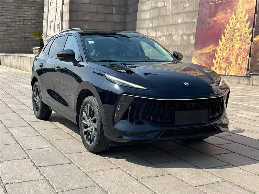 Windlink T5 EVO 2021 1.5TD DCT Diamond Edition