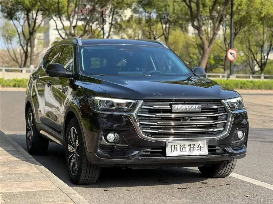 Haval H6 2023 National Trend Edition 1.5T Automatic Urban Version