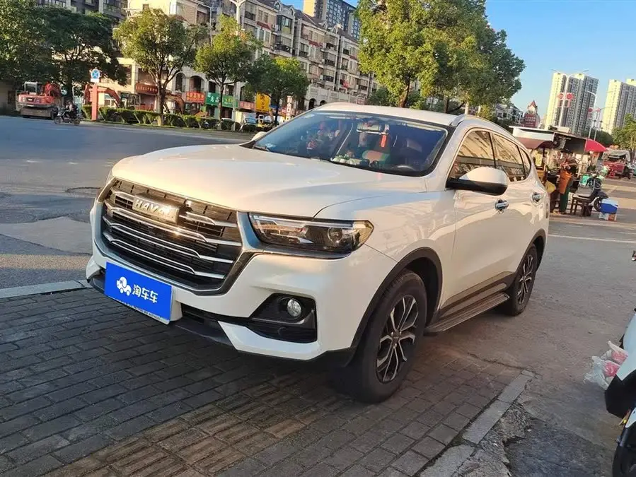 Haval H6 2021 National Trend Edition 1.5T Automatic Urban Version