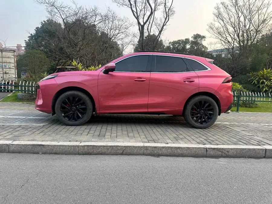 Fengxing T5 EVO 2021 1.5TD DCT Goddess Edition