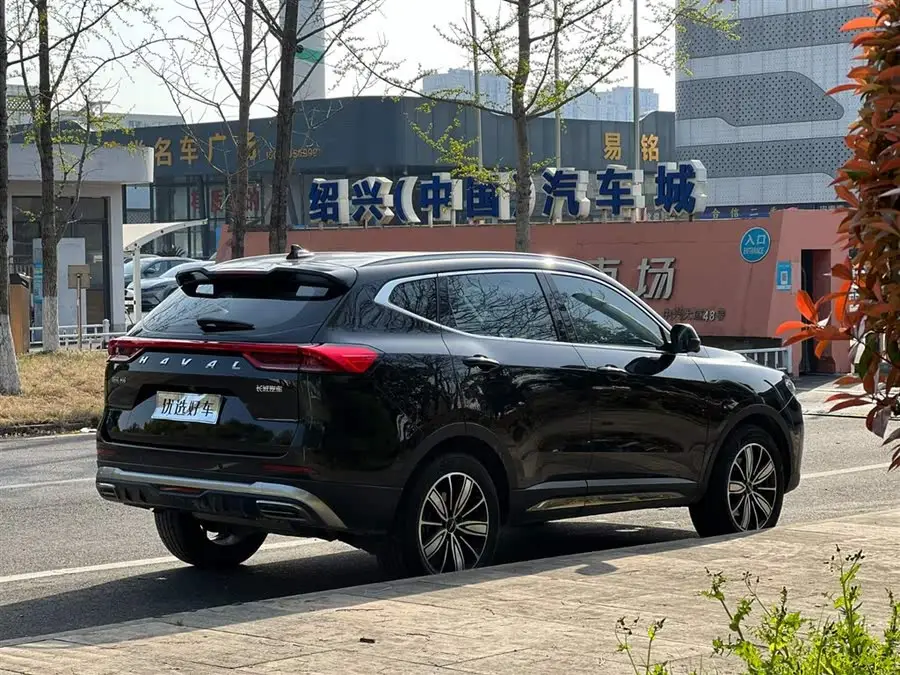 Haval H6 2023 National Trend Edition 1.5T Automatic Urban Version