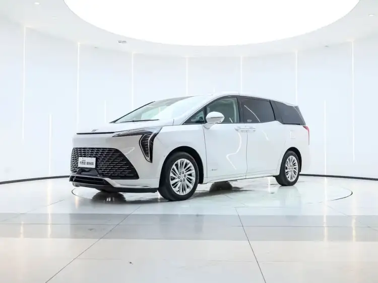 2023 Century 2.0T Six-Seater Yunshi Edition