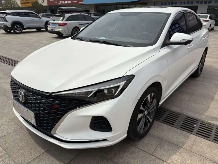 Yidong 2020 PLUS Blue Whale NE 1.4T GDI DCT Fengshang Model