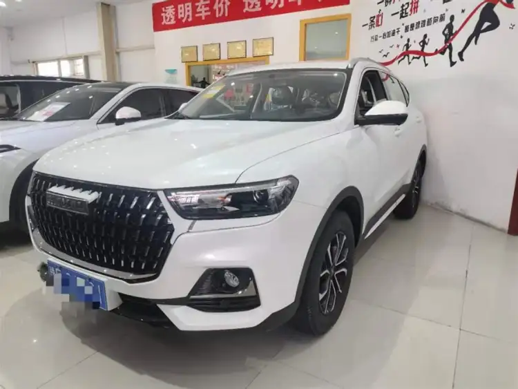 Haval H6 2023 National Trend Edition 1.5T Automatic Champion Version
