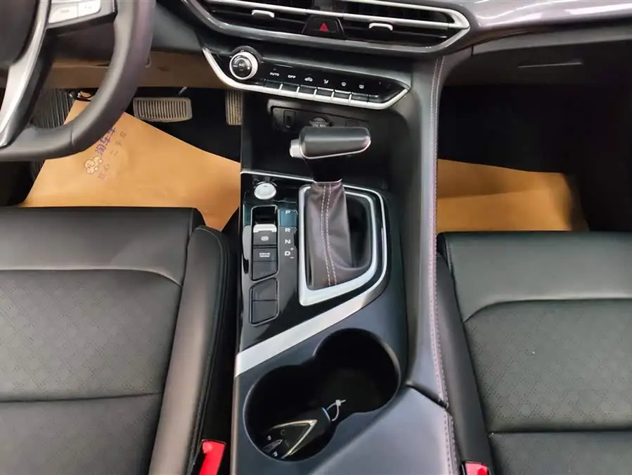 Yidong 2020 PLUS Blue Whale NE 1.4T GDI DCT Premium Version