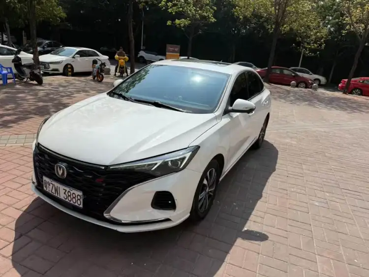 Yidong 2022 PLUS Blue Whale NE 1.4T GDI DCT Premium Edition