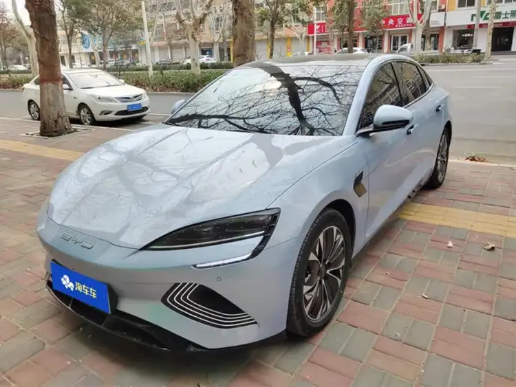 Sealion 2022 Model 550km Standard Range Rear-Wheel Drive Premium Version