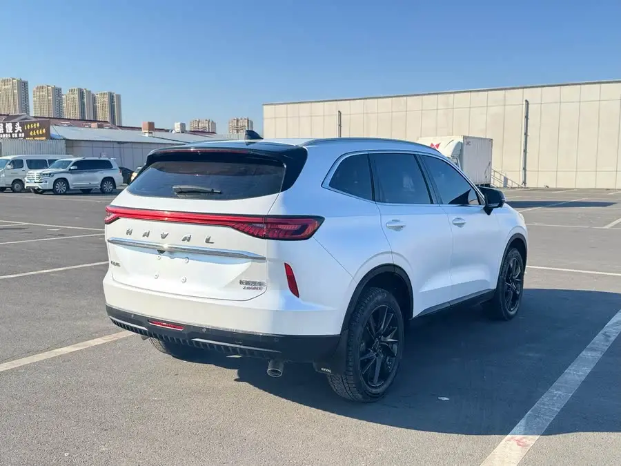 Haval H6 2021 Model Third Generation 2.0T Automatic Two-Wheel Drive Max