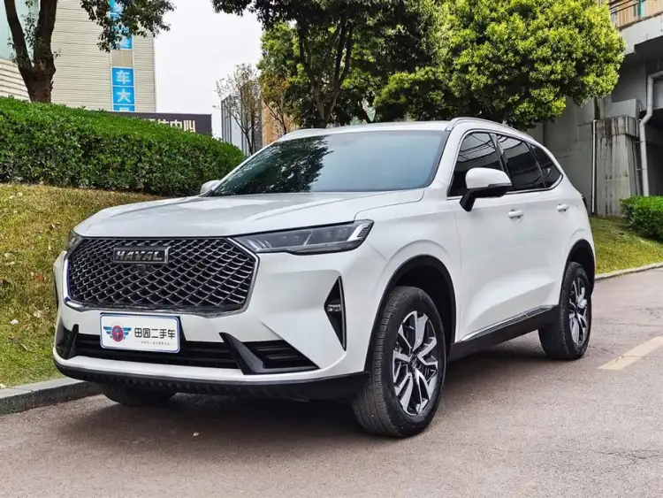Haval H6 2022 Model Third Generation 1.5T Automatic Two-Wheel Drive Pro
