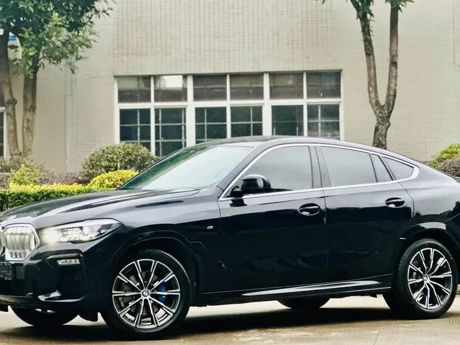 BMW X6 2021 xDrive30i M Sport Package