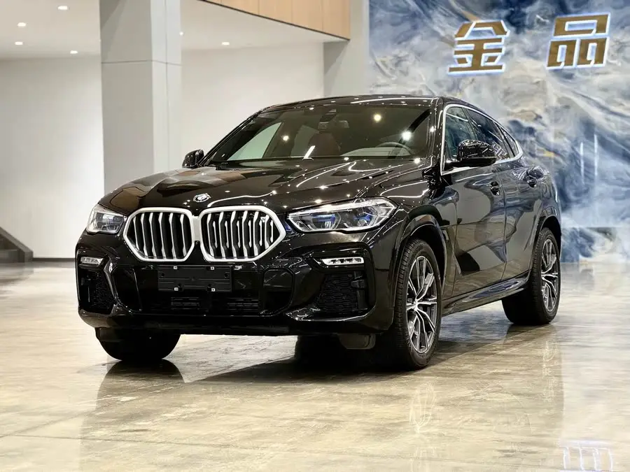 BMW X6 2020 xDrive40i M Sport Package