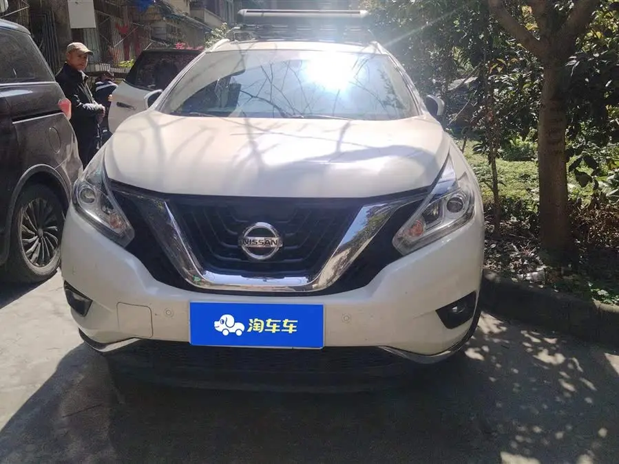 LuoLan 2021 Model 2.5L XL Two-Wheel Drive Intelligent Luxury Version