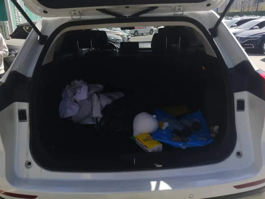 Haval H6 2021 National Trend Edition 1.5T Automatic Urban Version