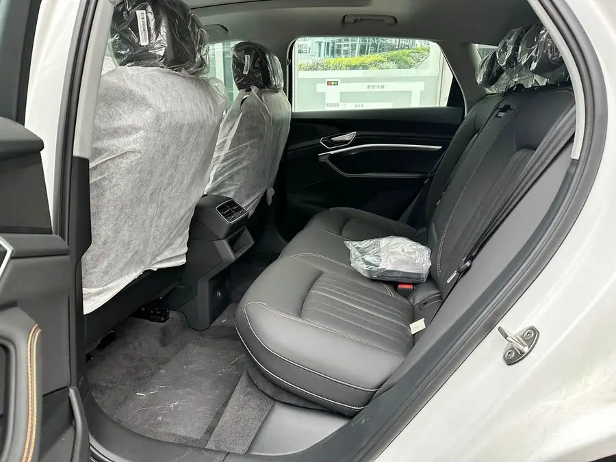 Audi e-tron 2021 50 quattro Luxury