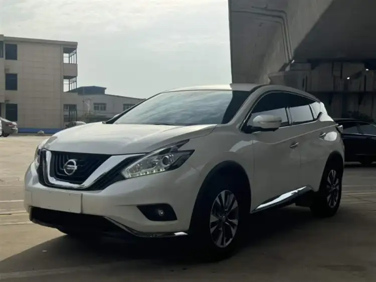 Loulan 2021 2.5L XE Two-Wheel Drive Elite Version