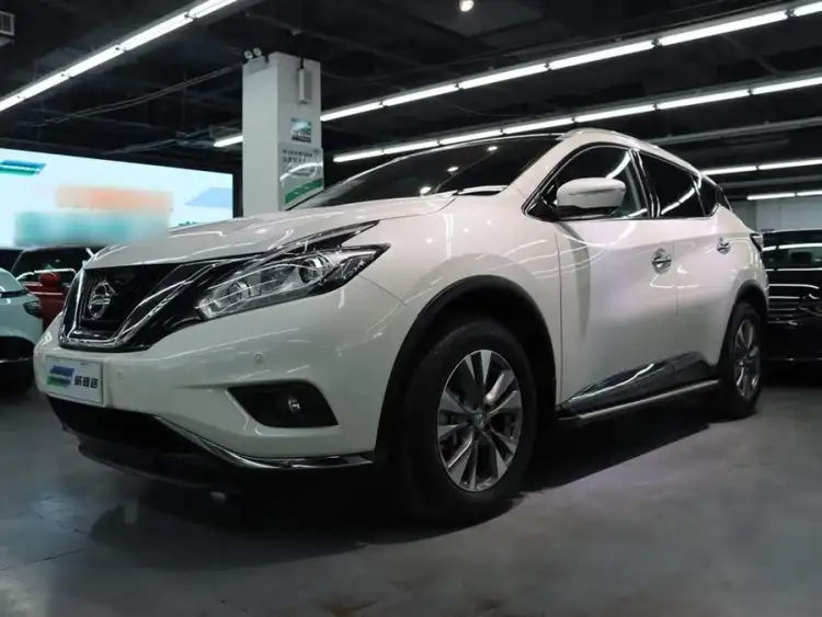 Loulan 2021 2.5L XL Two-Wheel Drive Intelligent Luxury Edition