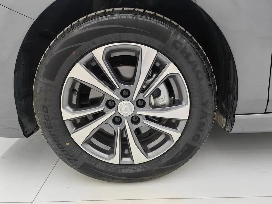 Yidong 2023 Model Changxiang Version PLUS Blue Whale NE 1.4T GDI DCT Premium Version