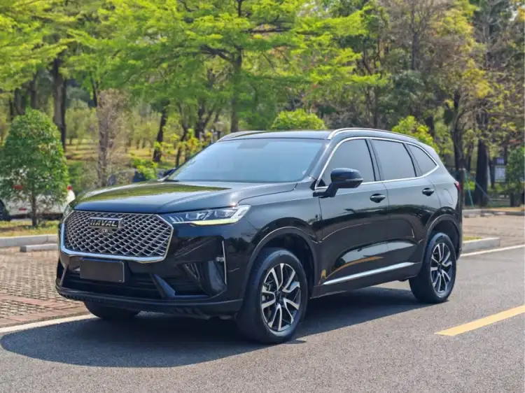 Haval H6 2021 Model Third Generation 1.5T Automatic Two-Wheel Drive Pro