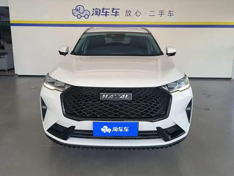 Haval H6 2021 Model Third Generation 2.0T Automatic Two-Wheel Drive Max