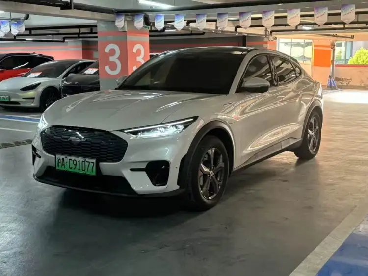 Ford Mustang Mach-E 2021 Rear-Wheel Drive (Standard Range)