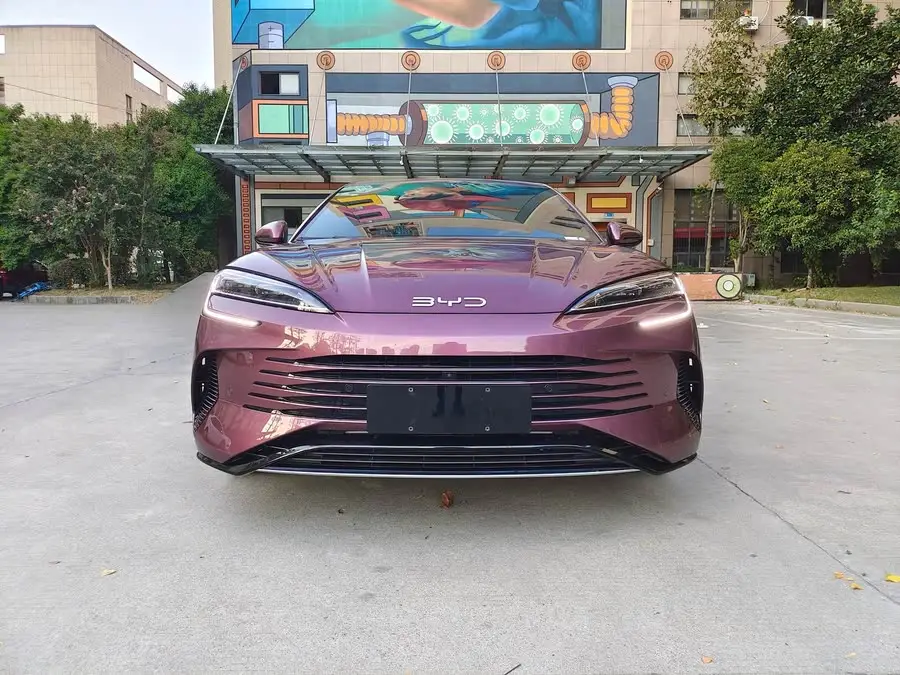 فقمة 2023 DM-i 1.5T 121 كم فئة رائدة