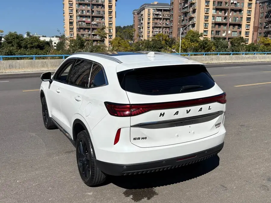 Haval H6 2021 Model Third Generation 2.0T Automatic Two-Wheel Drive Max