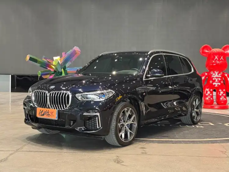 BMW X5 2022 xDrive 40Li M Sport Package