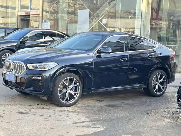 BMW X6 2020 xDrive40i Luxury M Sport Package