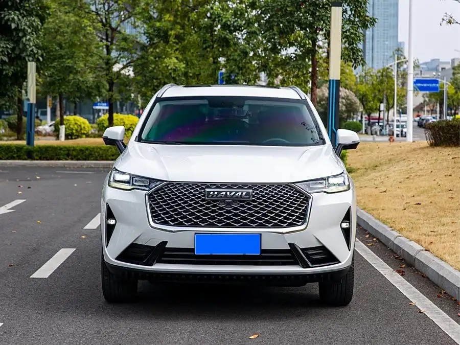 Haval H6 2021 Model Third Generation 1.5T Automatic Two-Wheel Drive Pro