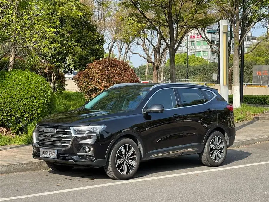 Haval H6 2023 National Trend Edition 1.5T Automatic Urban Version