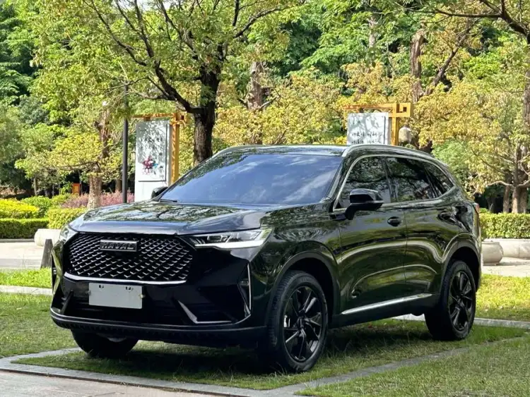 Haval H6 2022 Model Third Generation 1.5T Automatic Two-Wheel Drive Max