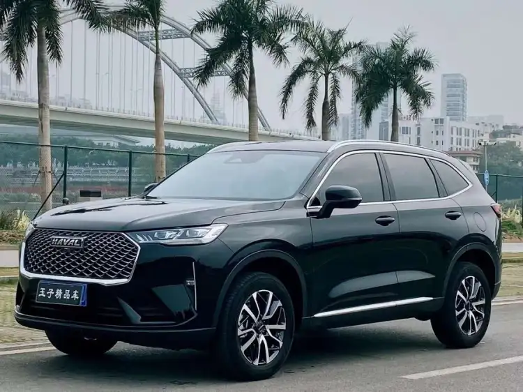 Haval H6 2022 Model Third Generation 1.5T Automatic Two-Wheel Drive Pro