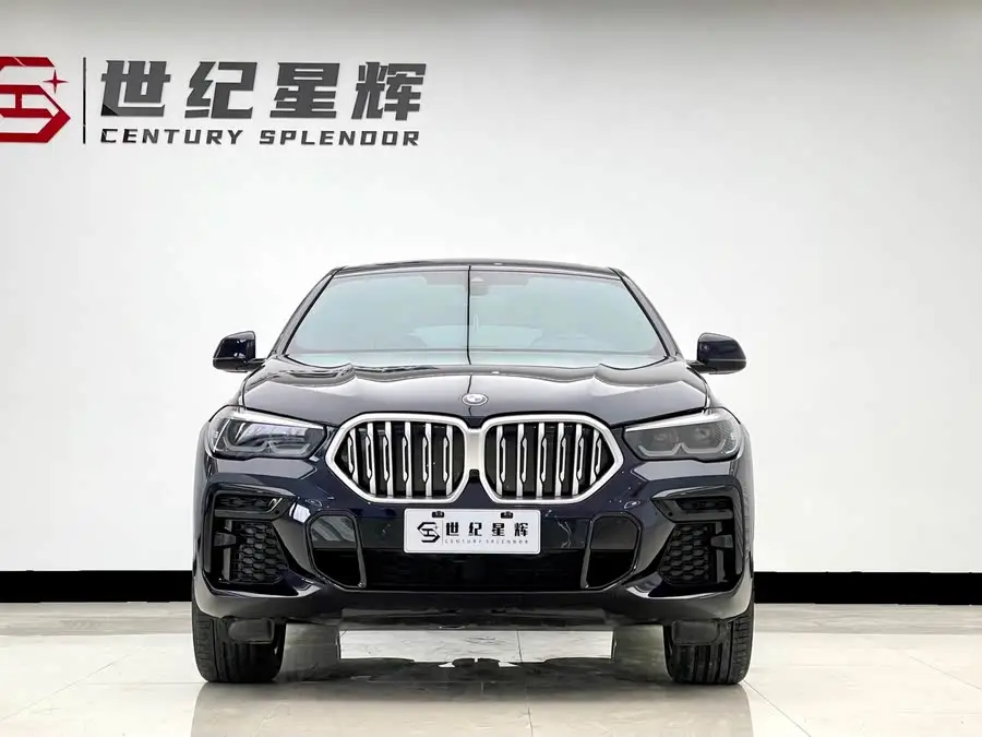 BMW X6 2022 xDrive30i M Sport Package