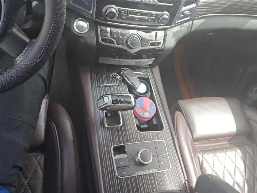 Haval H9 2020 2.0T Gasoline 4WD Premium 5-Seater